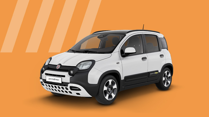 Fiat Pandina Cross - Cesena